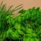 Herb garden in the kitchen