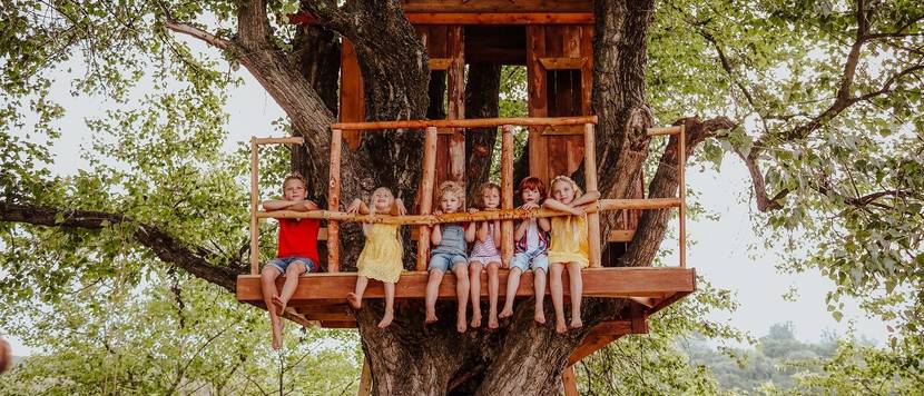 Build your own tree house test