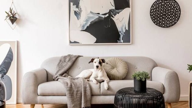 living room decorated